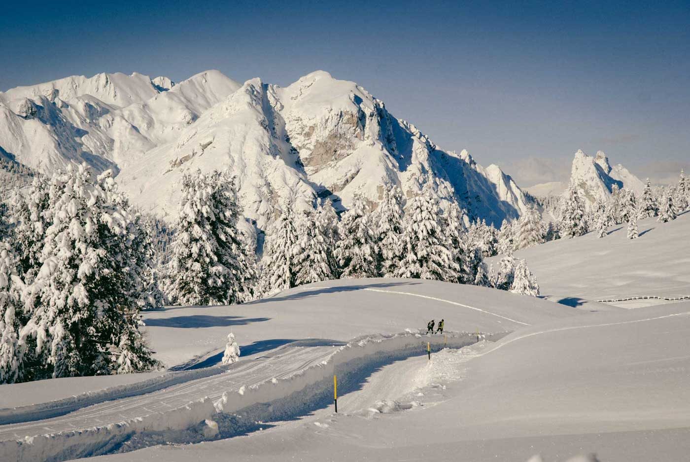 Skilangläufer auf Loipe auf Plätzwiese Dolomiten