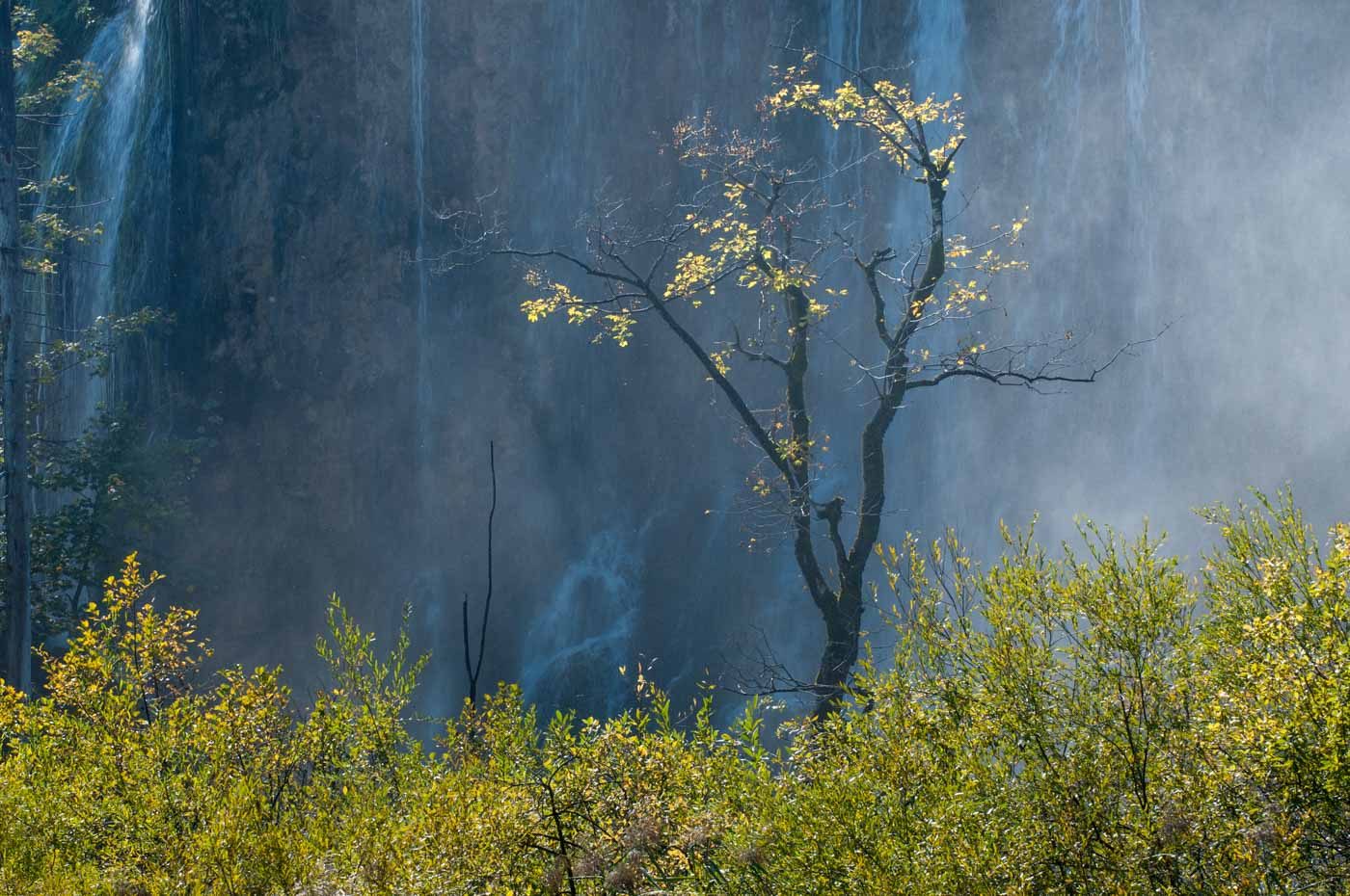 Plitvice National Park Wasserfall und Baum